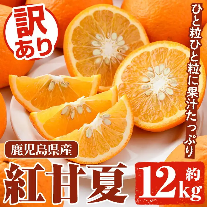 ＜先行予約受付中！2027年2月上旬以降順次発送予定＞訳あり 紅甘夏(約12kg) 国産 鹿児島県産 果物 フルーツ 柑橘 みかん 甘夏【松永青果】akn053-19