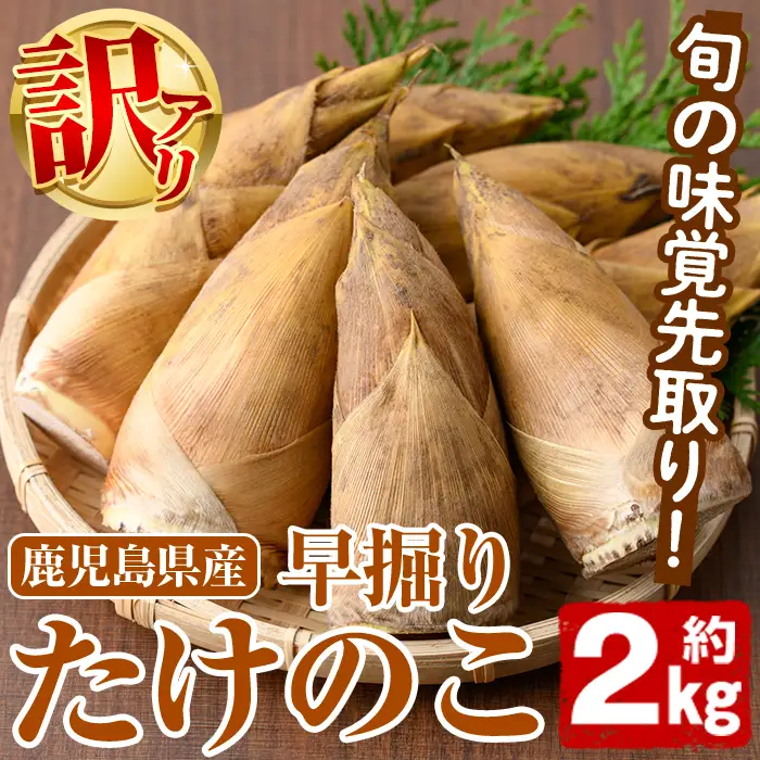 ＜先行予約受付中！2026年12月上旬以降順次発送予定＞訳あり！鹿児島県産 早掘りたけのこ(約2kg) 国産 野菜 たけのこ タケノコ 筍 旬 煮物 水煮 天ぷら つくだ煮【松永青果】akn053-29