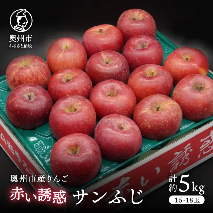 奥州市産りんご 赤い誘惑 「サンふじ」 約5kg(16~18玉) [AQ077]