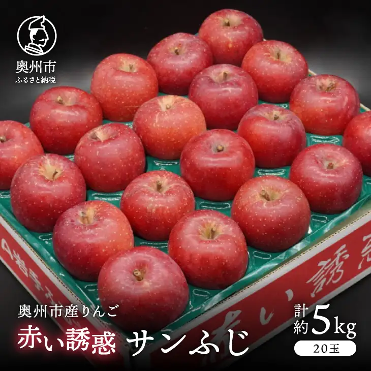 奥州市産りんご 赤い誘惑 「サンふじ」 約5kg(20玉) [AQ078]