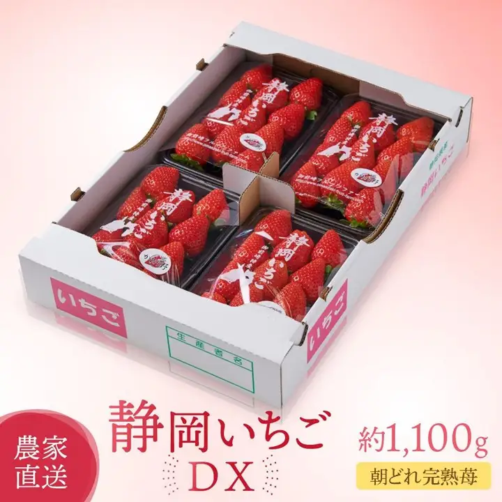 【2027年 先行予約】 農家直送！甘くて大好評　静岡いちご　DX　高糖度　1100g 程度（270～280g×4パック）甘くて地元大人気！やみつきリピーター多数　御前崎産　数量限定