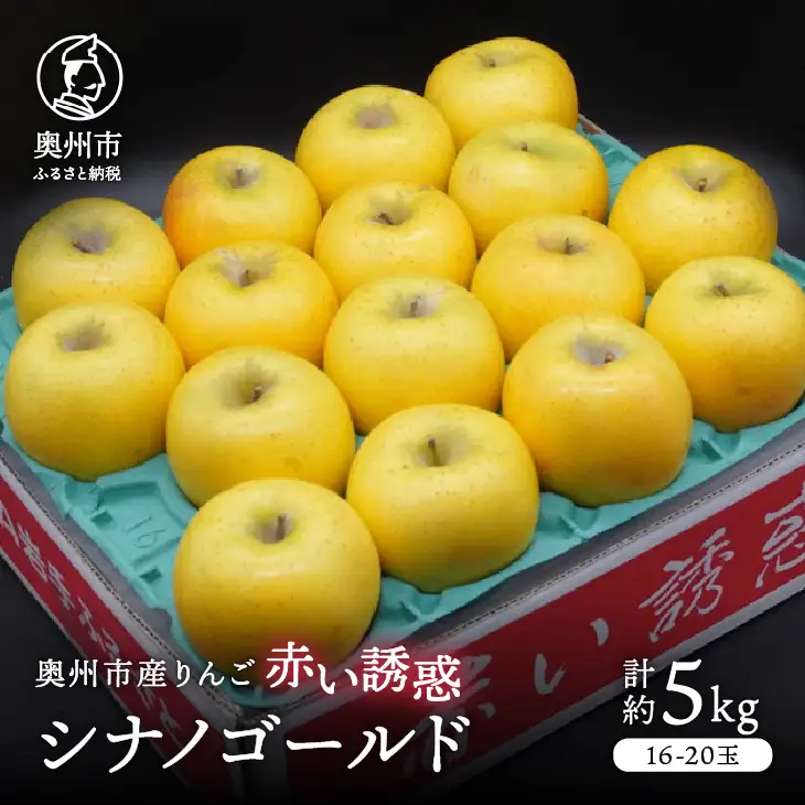 奥州市産りんご 赤い誘惑「シナノゴールド」約5kg 16-20玉 [AQ084]