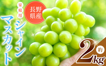 【2026年先行予約】 農家さん応援！【 ご家庭用 】訳あり シャインマスカット 約 2kg 【9月下旬頃～発送予定】