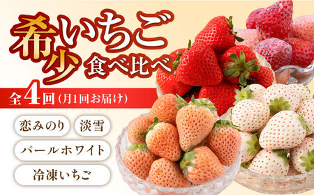 【先行予約 2027年2月～発送】【4回定期便】希少いちご 赤白食べ比べ / いちご [IZZ005]
