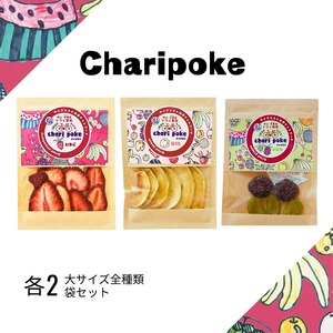 ドライフルーツ セット チャリポケ 3種 塩ドライ果実 ドライフルーツ セット【大サイズ】
