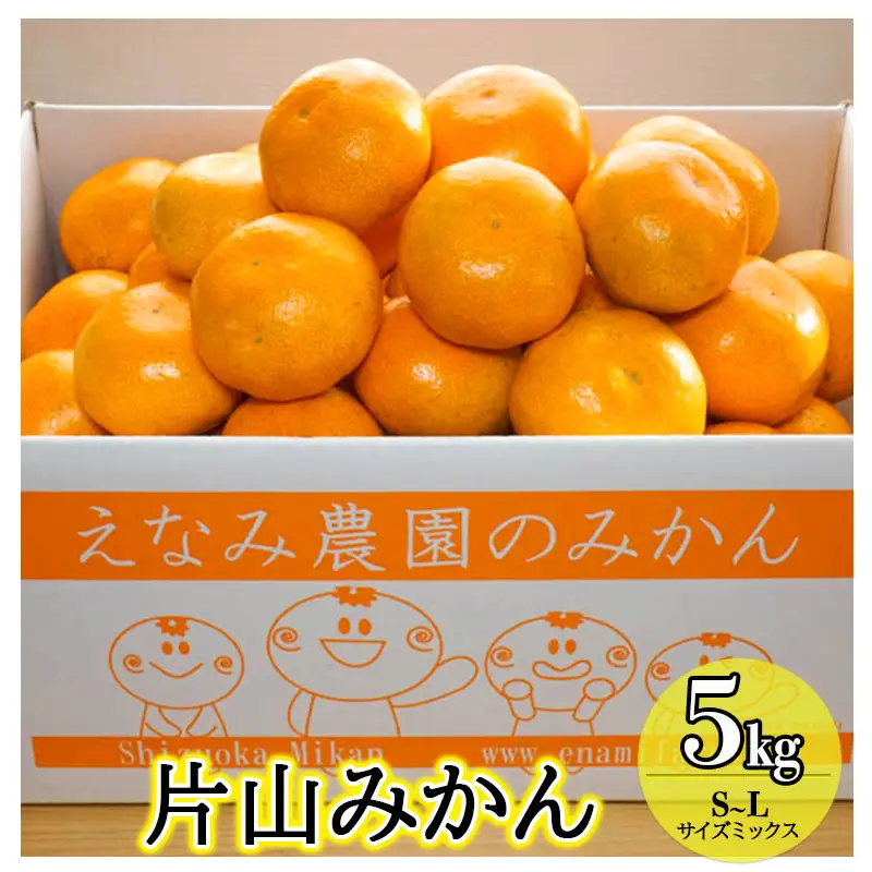 えなみ農園の片山みかん　5kg（S～Lサイズミックス）