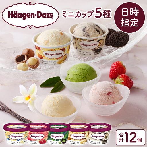 ハーゲンダッツ『定番ミニカップ12個』アイス アイスクリーム スイーツ 北海道_H0016-111