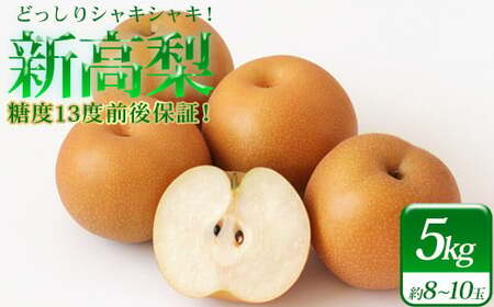 小山農園の新高梨　5kg　糖度13度前後保証　【11246-0394】
