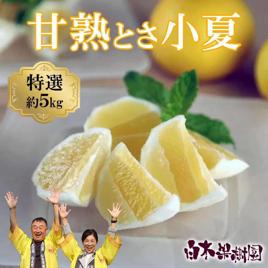 【先行予約】甘熟とさ小夏 特選品贈答用（S~Lサイズ）約5kg〈2027年4月上旬-2027年5月中旬頃発送〉高知県土佐市 【株式会社SHIRAKI】 [BQAI030]