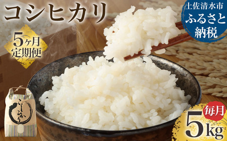 【先行予約】令和6年産 新米 コシヒカリ精米5kg（1袋）5回定期便  【J00129】