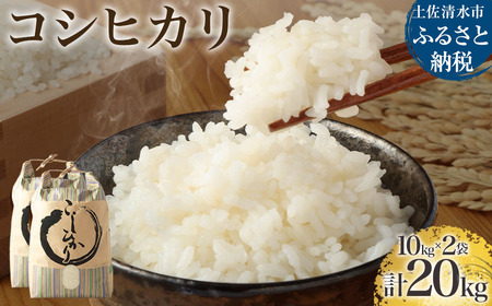 【先行予約】令和6年産 新米 コシヒカリ精米20kg（10kg×2袋） 【R01185】