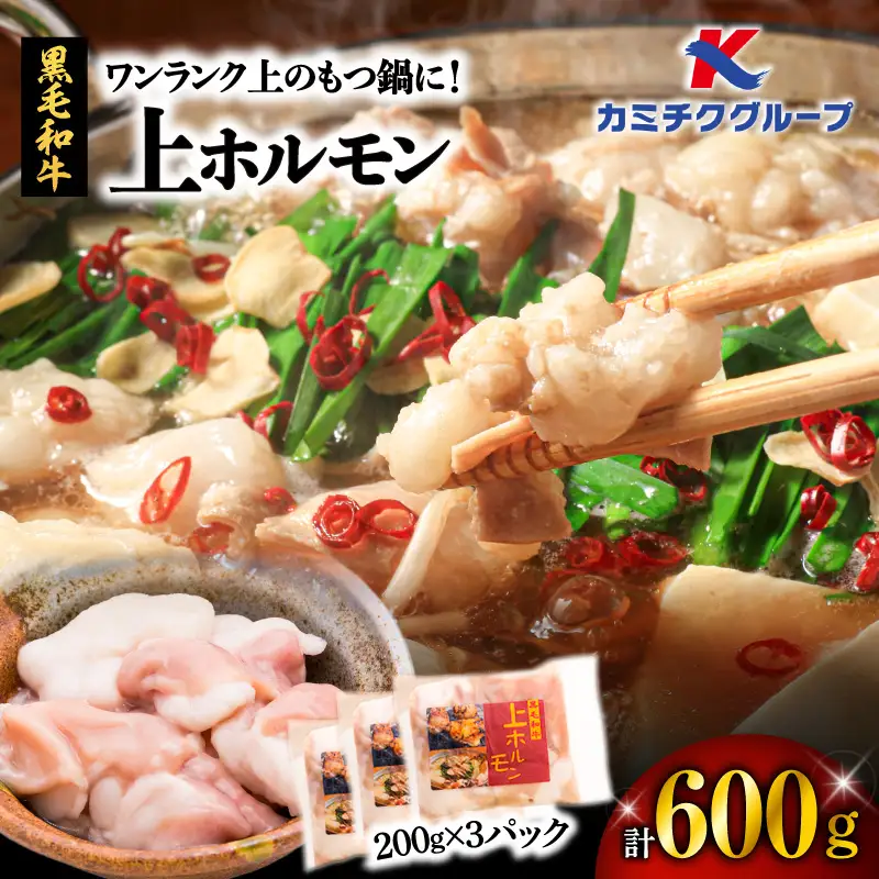 もつ鍋 ホルモン 小腸 600ｇ （200g×3パック） 【 上ホルモン ワンランク上のもつ鍋に！】 K002-004_01 肉 牛肉 冷凍