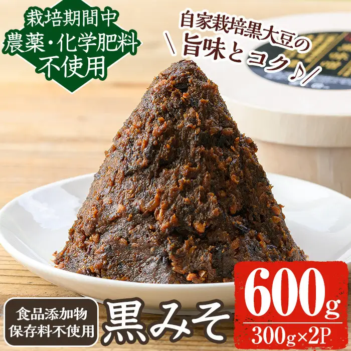 《数量限定》黒味噌(黒米麹と黒大豆)計600g(300g×2パック) 味噌 黒味噌 黒大豆 大豆 田楽 和え物 黒米麹 麹 こうじ みそ汁 味噌汁 有機 有機農業 有機肥料 【雲月農園】_y457