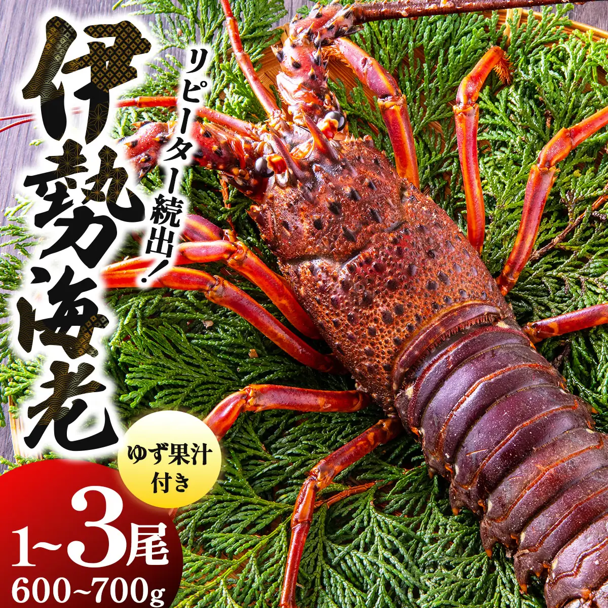 リピーター続出！伊勢海老 600～700g（1～3尾）