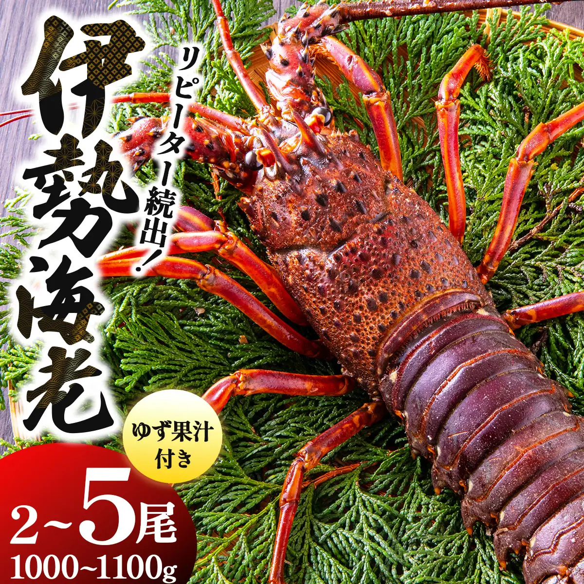 リピーター続出！伊勢海老 1000～1100g（2～5尾）