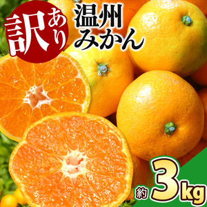 訳あり 温州みかん 約3kg 後藤農園