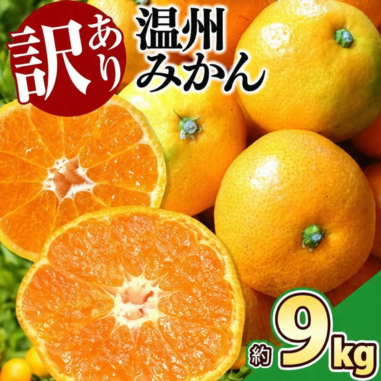 訳あり 温州みかん 約9kg 後藤農園