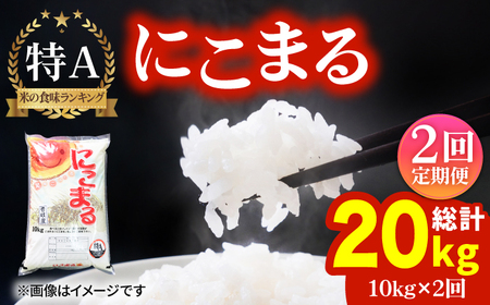 【全2回定期便】にこまる 10kg《壱岐市》【株式会社ヤマグチ】米 お米 ごはん もちもち お弁当[JCG125] 九州