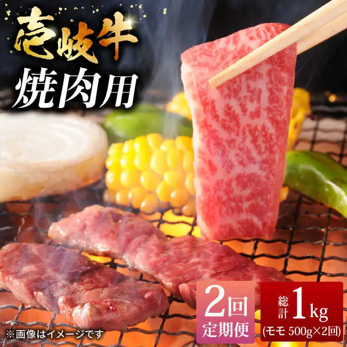 【全2回定期便】壱岐牛焼き肉セット 500g《壱岐市》【株式会社ヤマグチ】牛肉 黒毛和牛 ブランド牛 九州 肉 [JCG126]