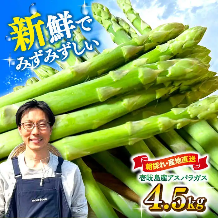 【アスパラガス専門農家が作る！】壱岐産アスパラガス4.5kg  ≪壱岐市≫【きたじま農園】 国産 冷蔵配送 産地直送 朝採れ 新鮮 [JGI001]