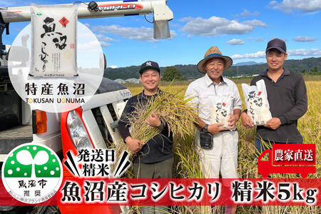【令和8年産　新米先行受付】農家直送！ 魚沼産 コシヒカリ 精米 5kg （ 米 こしひかり お米 こめ コメ 魚沼産コシヒカリ 魚沼 新潟 魚沼産こしひかり おこめ 白米 ）