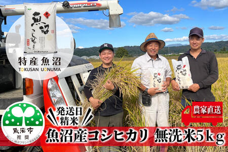 【令和8年産　新米先行受付】農家直送！ 魚沼産 コシヒカリ 無洗米 5kg （ 米 こしひかり お米 こめ コメ 魚沼産コシヒカリ 魚沼 新潟 魚沼産こしひかり おこめ 白米 精米 ）