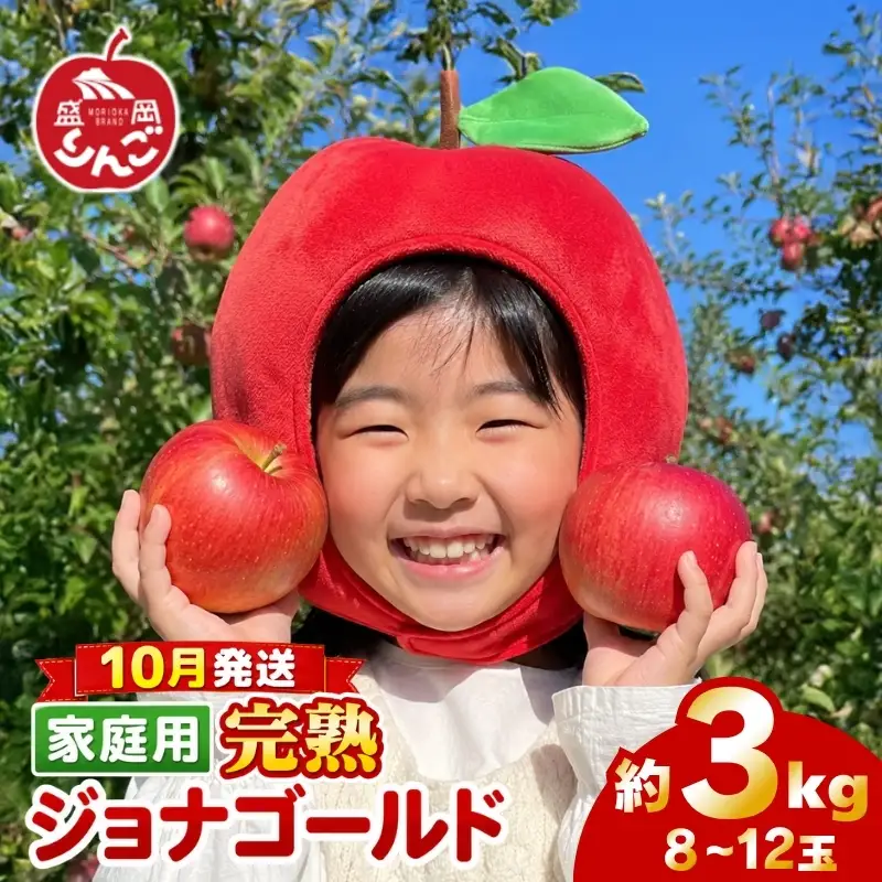先行予約 家庭用ジョナゴールド3kg(8~12玉) 10月発送 りんご 訳ありりんご 田村ふぁーむtamura007