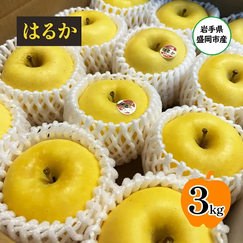 【12月発送】はるか りんご 3kg 8～12玉 北田りんご園 kitada009 りんご
