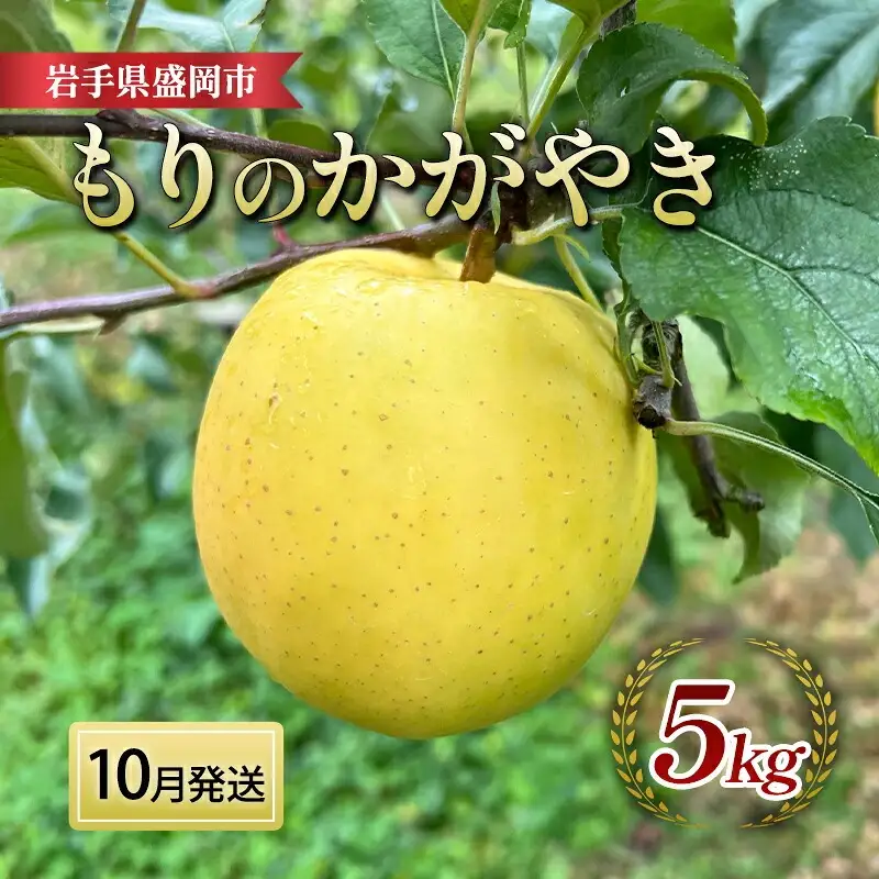 【 10月発送】もりのかがやき りんご 5kg（14~20玉） 北田りんご園 りんご kitada013