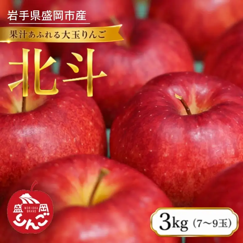 【先行予約】北斗 りんご 3kg 7～9個 10月～順次発送 朝島観光りんご園 asashima008