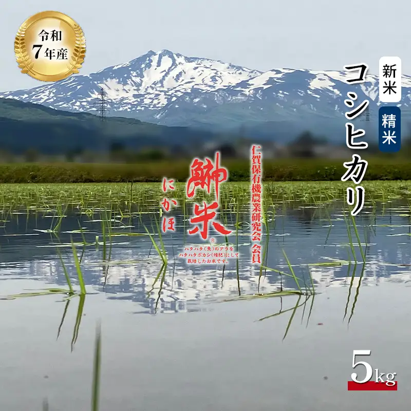 コシヒカリ 精米 特別栽培米 鰰米 秋田県産 コシヒカリ【5kg】