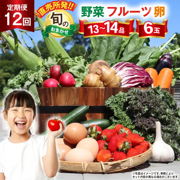 CD038 野菜 フルーツ 定期便12回 旬のおまかせセット 野菜 フルーツ13～14品目 卵6玉