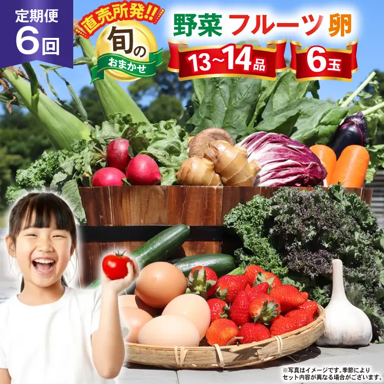 CH113 野菜 フルーツ 定期便6回 旬のおまかせセット 野菜 フルーツ13～14品目 卵6玉 ◎