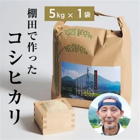 青野山の湧水と朝晩の寒暖差が育んだ棚田の甘～い米「コシヒカリ」(白米5kg×1袋)(令和8年産)【1524991】