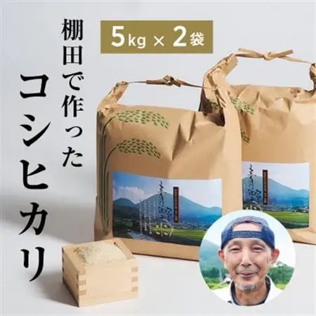 青野山の湧水と朝晩の寒暖差が育んだ棚田の甘～い米「コシヒカリ」(白米5kg×2袋)(令和8年産)【1524992】