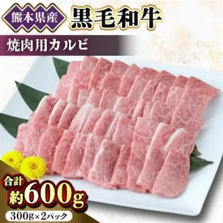 【黒毛和牛】熊本県産　焼き肉用　カルビ600g(300g×2パック)　(美里町)_肉 焼肉 牛肉 やきにく ヤキニク バーベキュー  肉 黒毛和牛 牛肉 _【配送不可地域：離島】【1527979】
