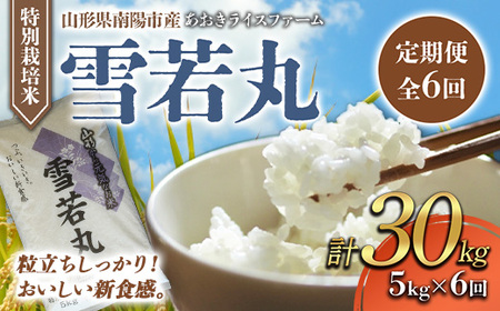 【金賞受賞農家】 《定期便6回》 令和7年産 特別栽培米 雪若丸 5kg×6か月 『あおきライスファーム』 山形南陽産 米 白米 精米 ご飯 農家直送 山形県 南陽市 [1611]