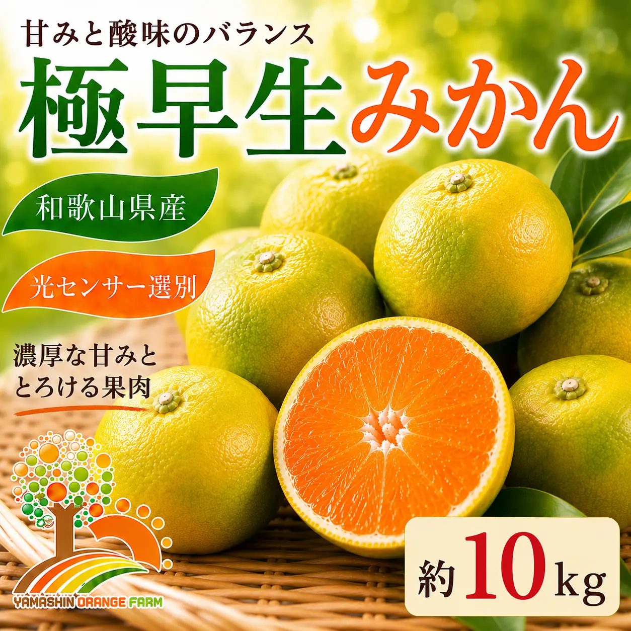 【先行予約】こだわりの極早生みかん 約10kg 農家直送 有機質肥料100% サイズ混合 ｜ みかん 極早生 早生 柑橘 果物 くだもの 果実 フルーツ 和歌山 有田