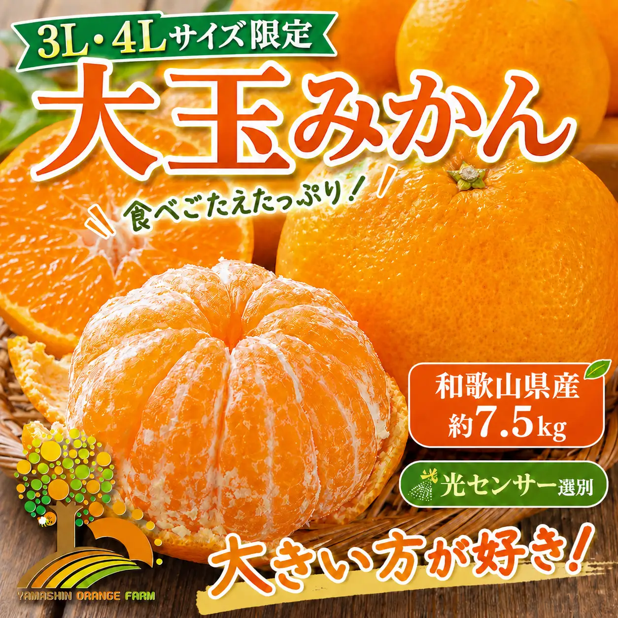 有田みかん 約7.5kg 大玉3L以上 有機質肥料100% ＼光センサー選別／ ｜ みかん