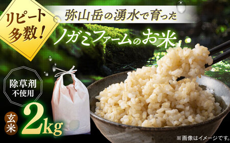 【 令和6年産】弥山岳の岩清水で育ったノガミファームの お米 玄米 2kg ▼ 玄米 米 コメ お米 2kg 農家 直送 桂川町/NOGAMI FARM [ADAU008]