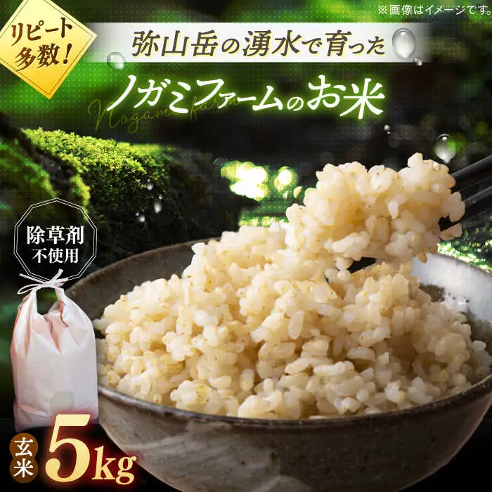 玄米 5kg ノガミファーム[ADAU009] 米 玄米5キロ