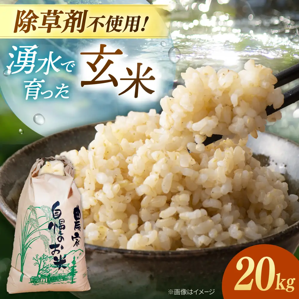 玄米 20kg ノガミファーム お米 桂川町/NOGAMI FARM [ADAU012]