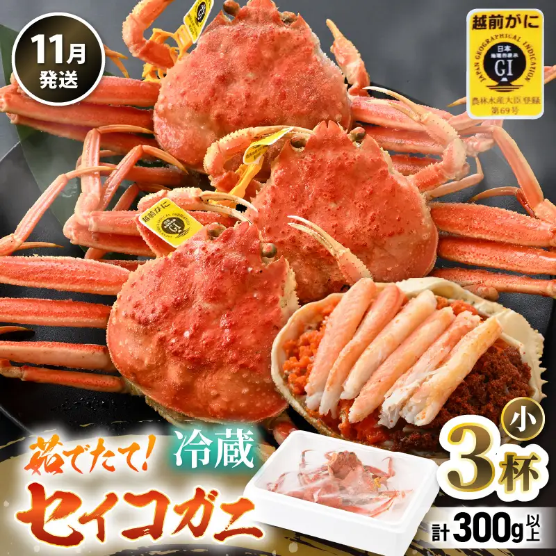 先行予約【冷蔵】 旬のセイコガニ 小 3杯 計300g以上（茹で前） 説明書付き 【2026年11月上旬以降順次発送予定】 ズワイガニ メス せいこがに  [m21-x001_11]