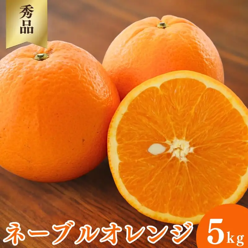 【先行予約】ネーブルオレンジ【秀品】5kg ※2027年3月上旬～4月中旬頃に順次発送予定【期間限定・数量限定】 / 柑橘 季節限定 お取り寄せ 産地直送 贈答品 ギフト 果物 フルーツ 田辺市 和歌山県【ymh005】