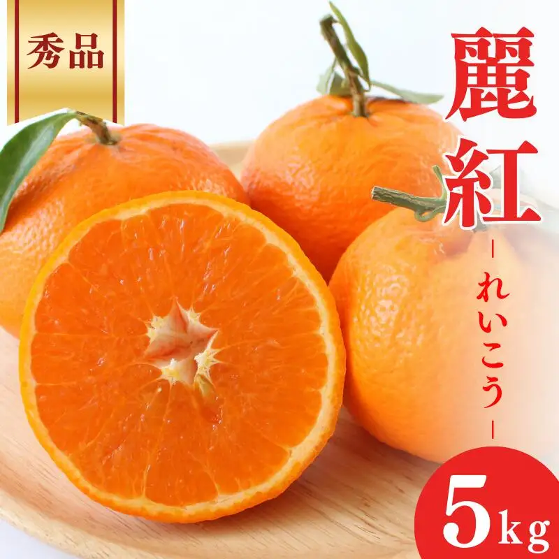 【先行予約】麗紅【秀品】5kg ※2027年2月下旬～3月下旬頃に順次発送予定【期間限定・数量限定】 / 柑橘 季節限定 お取り寄せ 産地直送 贈答品 ギフト 果物 フルーツ 田辺市 和歌山県【ymh006-1】