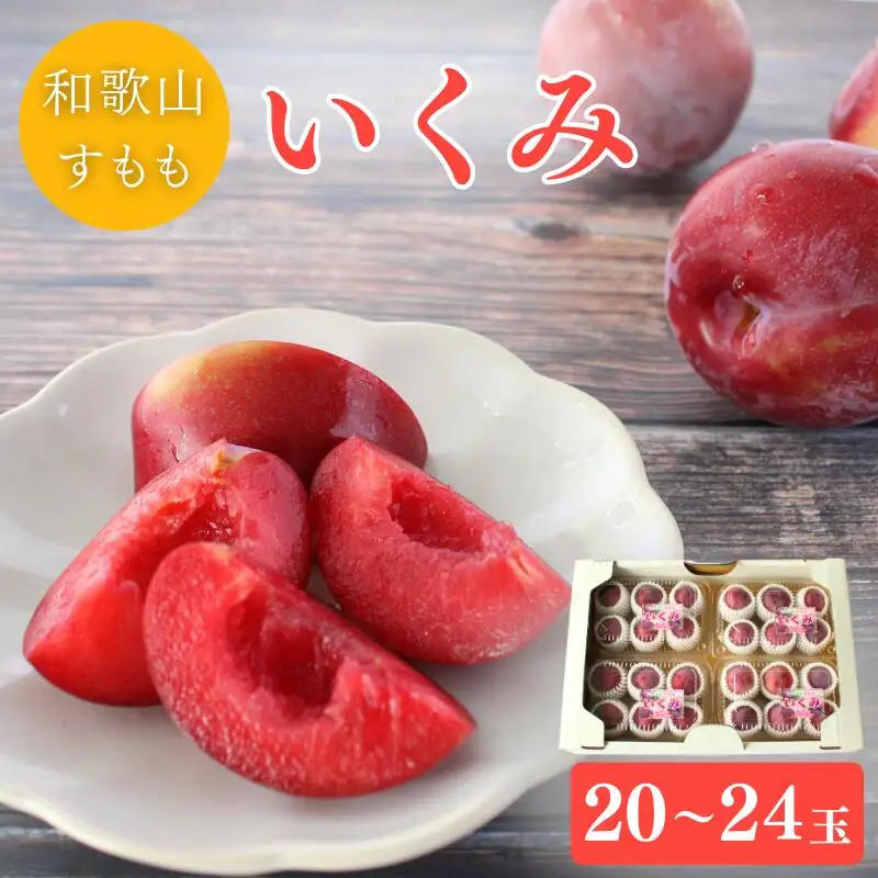 【先行予約】すもも（いくみ）4パック ※2027年6月上旬～6月中旬頃に順次発送予定【期間限定・数量限定】 / スモモ プラム 冷蔵 季節限定 お取り寄せ 産地直送 贈答品 ギフト 果物 フルーツ 田辺市 和歌山県 【ymh009-1】