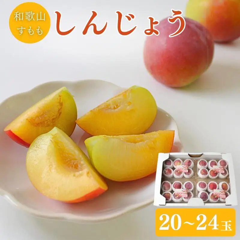 【先行予約】すもも（しんじょう）4パック ※2027年6月中旬～6月下旬頃に順次発送予定【期間限定・数量限定】 / スモモ プラム 冷蔵 季節限定 お取り寄せ 産地直送 贈答品 ギフト 果物 フルーツ 田辺市 和歌山県 【ymh010-1】