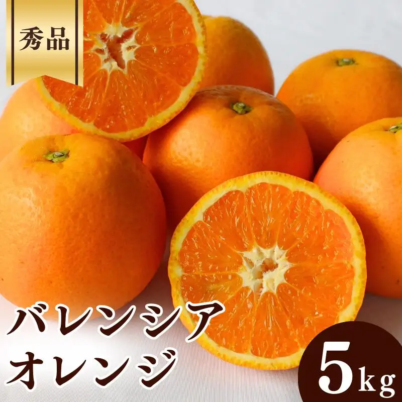 【先行予約】バレンシアオレンジ【秀品】5kg ※2027年6月中旬～7月下旬頃に順次発送予定【期間限定・数量限定】 / 柑橘 季節限定 お取り寄せ 産地直送 贈答品 ギフト 果物 フルーツ 田辺市 和歌山県 【ymh012】