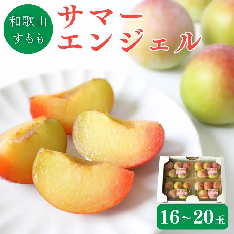 【先行予約】すもも（サマーエンジェル）4パック ※2027年6月下旬～7月上旬頃に順次発送予定【期間限定・数量限定】 / スモモ プラム 冷蔵 季節限定 お取り寄せ 産地直送 贈答品 ギフト 果物 フルーツ 田辺市 和歌山県 【ymh013-1】