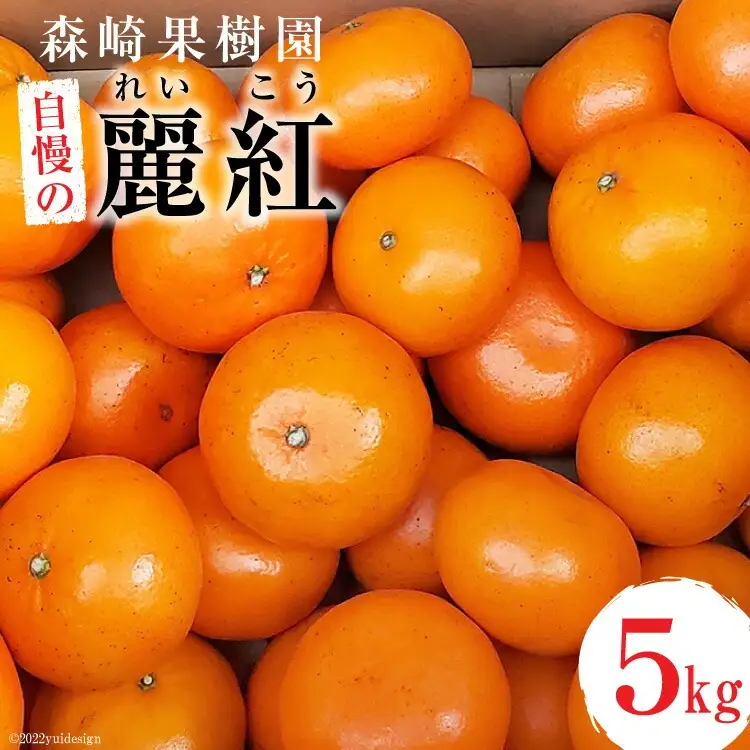CD021 【令和9年1月中旬から順次発送】森崎果樹園 自慢の 麗紅（れいこう）5kg